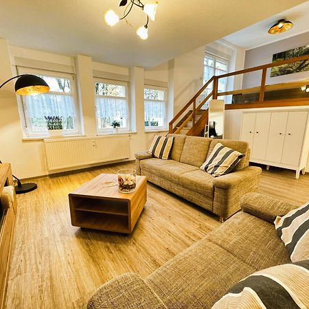 Galerie-Ferienwohnung "Im Schindlershof" - Zentral Und Ruhig Eibenstock Exteriör bild